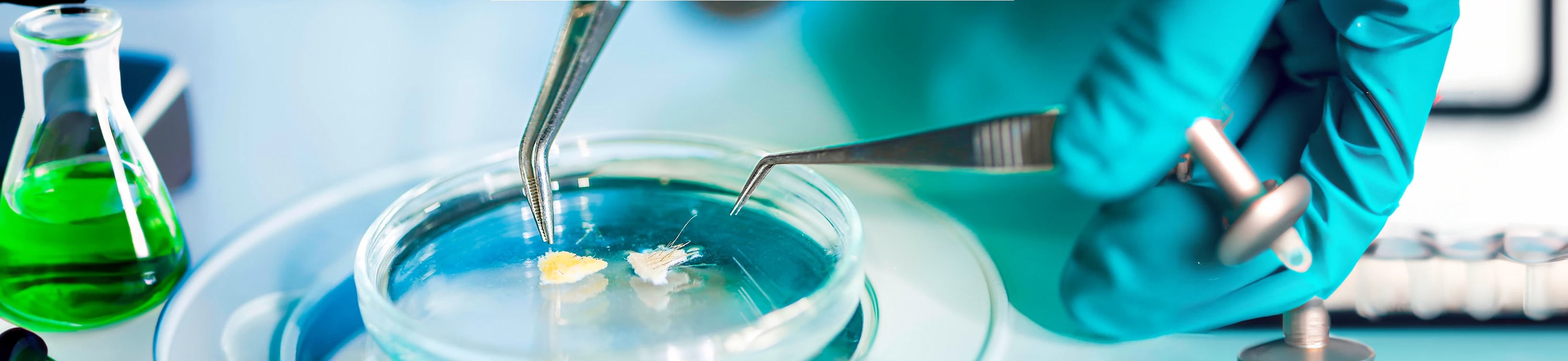 Pierre Fabre A French pharmaceutical and dermocosmetics group
